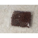Seed Beads, Glass, 3mm, 8/0, opaque coconut brown, 10g bag