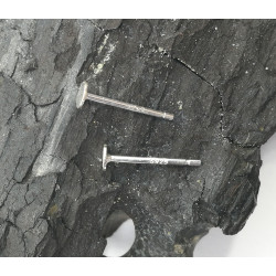 Sterling silver Ear studs, 4mm flat pad, pair
