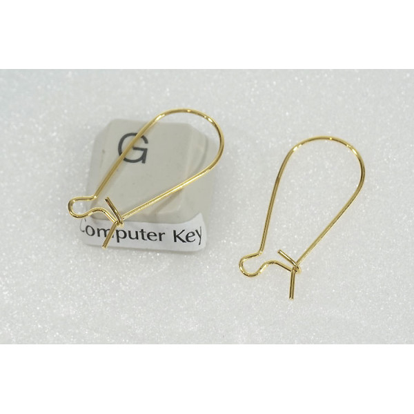 Small-Med Kidney Wires, 25mm, gold plate, per pair