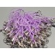 Lariat Cell Phone Charm Holder, Lavender