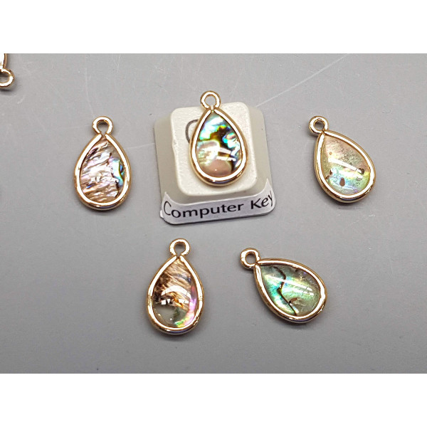 Paua shell charm, oval drop 15mm x 9mm, gold plate