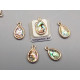 Paua shell charm, oval drop 15mm x 9mm, gold plate