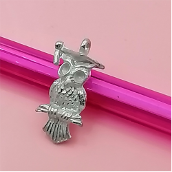 Pewter Charm, Owl, with graduation board