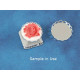 18mm White with Salmon Flower Rose round cameo, bag of 5