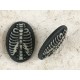 24x17mm Dark Grey with Off-White skeleton Rib-Cage cameo
