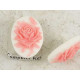 23x17mm White with Pink Rose, cameo
