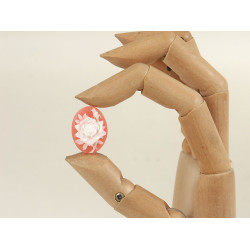 23x17mm Coral with White Rose, cameo