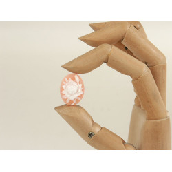 23x17mm Peach with White Rose, cameo