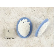 40x30mm Blue with White Anatomical Heart cameo