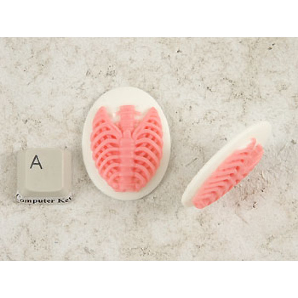 40x30mm White with Pink skeleton Rib-Cage cameo