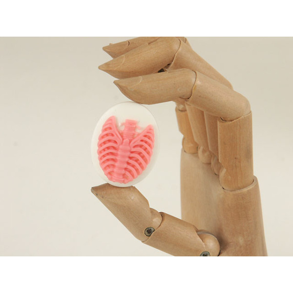 40x30mm White with Pink skeleton Rib-Cage cameo