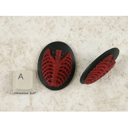 40x30mm Black with Red skeleton Rib-Cage cameo