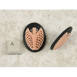 40x30mm Black with Pink skeleton Rib-Cage cameo