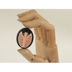 40x30mm Black with Pink skeleton Rib-Cage cameo