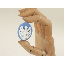 40x30mm Blue with White skeleton Rib-Cage cameo