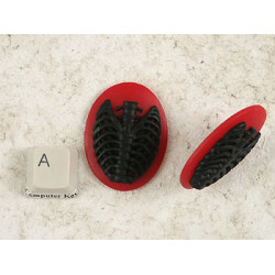 40x30mm Black with Red skeleton Rib-Cage cameo