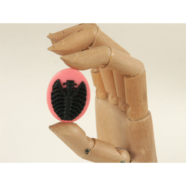 40x30mm Pink with Black skeleton Rib-Cage cameo