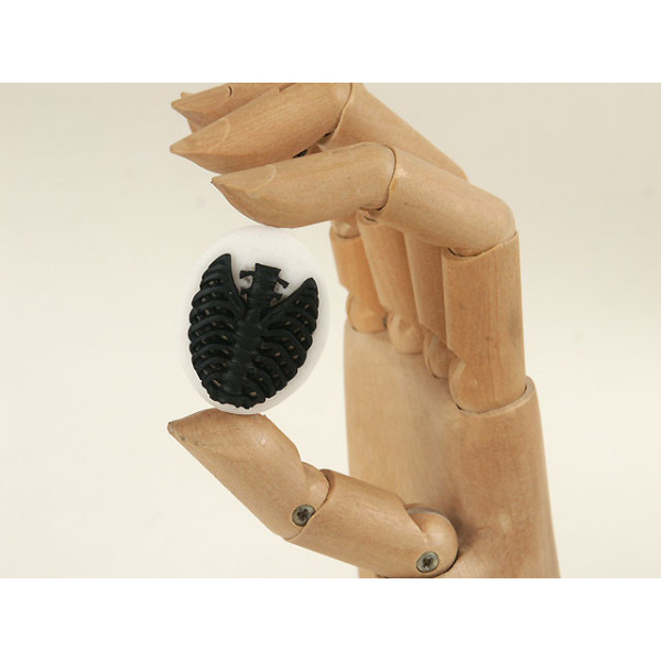 40x30mm White with Black skeleton Rib-Cage cameo