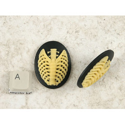 40x30mm Black with Ivory skeleton Rib-Cage cameo