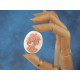 40x30mm White with Pink Lolita skeleton cameo