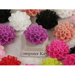 15mm Chrysanthemum cabochon, assorted, bag 50grams