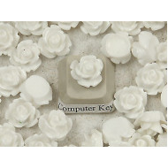 10mm Rose cabochon, white, bag 20 grams