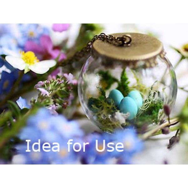 Glass Cover Dome 12x20mm, terrarium ball