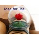 Glass Cover Dome 12x20mm, terrarium ball