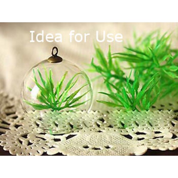 Glass Cover Dome 12x20mm, terrarium ball