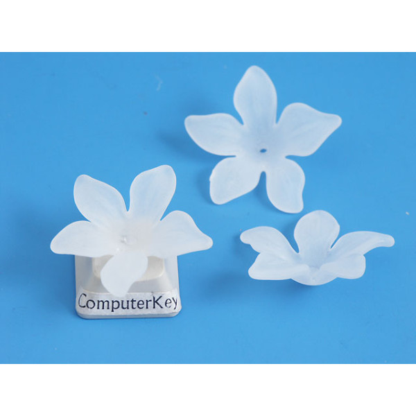 Hibiscus Flower Bead, frosted white acrylic, 28mm, bag 20g