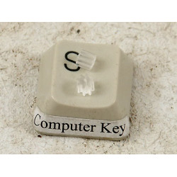 French Wire Security Keepers, Clear, per pair
