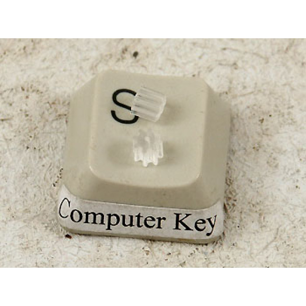 French Wire Security Keepers, Clear, per pair