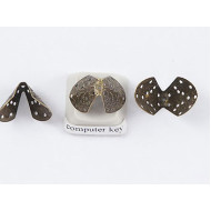 BULK PACK 50 Bead Caps, 12mm, shoulder plate, NF antiqued bronze