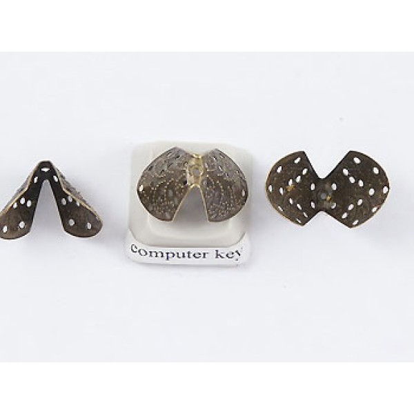 BULK PACK 50 Bead Caps, 12mm, shoulder plate, NF antiqued bronze