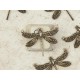 Dragonfly connector, ant. Brass, 2 loops 19x25mm, each