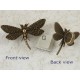 Dragonfly pendant, large loop, antiqued bronze