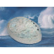 New Zealand whole Paua Shell, rough ground
