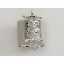 Pewter Charm, Owl, with graduation board