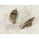 Charm, Jandal, antiqued brass plate