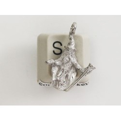 Pewter Charm, Wizard